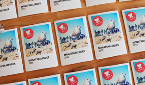 Mini-Kalender 2015